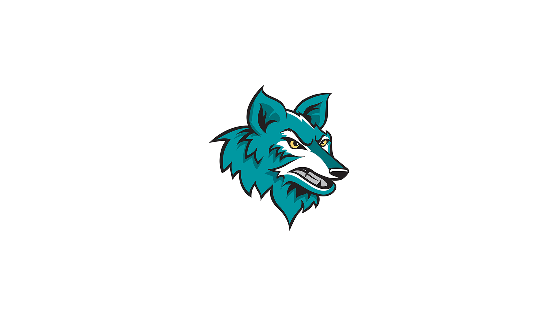 New Coyote Athletic Trainer